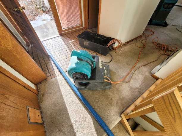 Best 24-hour water damage restoration  in El Rancho, NM