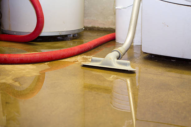 Best Commercial water damage restoration  in El Rancho, NM