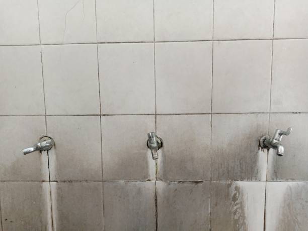 Best Water damage repair service  in El Rancho, NM